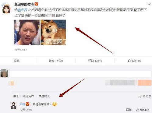 明星黑料网站视频迪丽热巴 赵露思现状,从黑料风波到现状揭秘