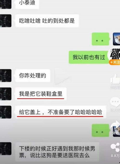 吃瓜网在线观看视频 爆料网吃瓜黑料反差入口,从爆料网到反差入口的奇妙旅程
