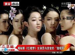 =明星演艺圈竞争激烈 潜规则全书阅读,明星演艺圈激烈竞争背后的真相